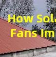 How Solar Attic Fans Improve Roof Longevity